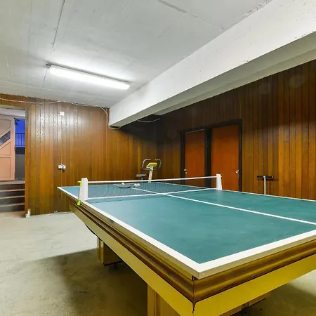 With A Fireplace 07 * Debeljak