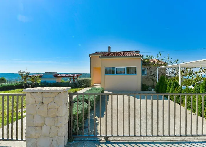 With A Fireplace 07 Debeljak