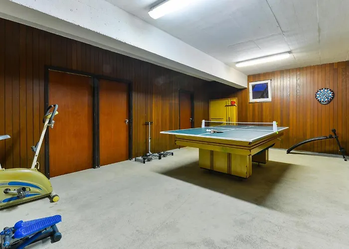 With A Fireplace 07 * Debeljak